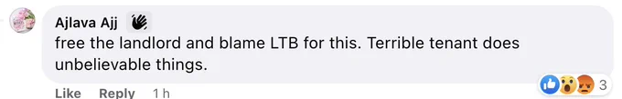 Screenshot of Facebook comment from user Ajlava Ajj “free the landlord an blame LTB for this. Terrible tenant does unbelievable things.”