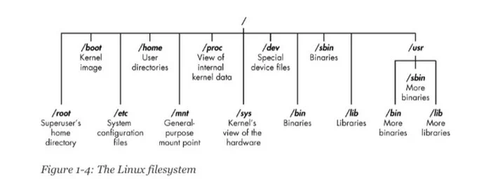 A pic of the Linux filesystem