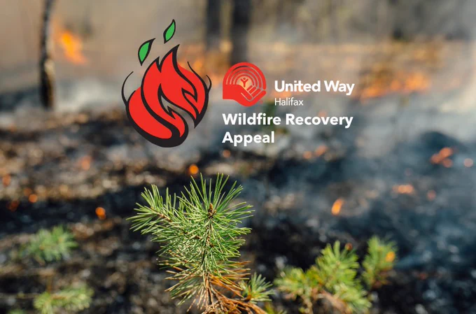 A picture of woods smouldering after a forest fire, with sunshine lighting up a small green shrub sticking out of the bottom of the frame. Text reading "United Way Halifax Wildfire Recovery Appeal" is laid over that which includes the United Way Halifax logo. 