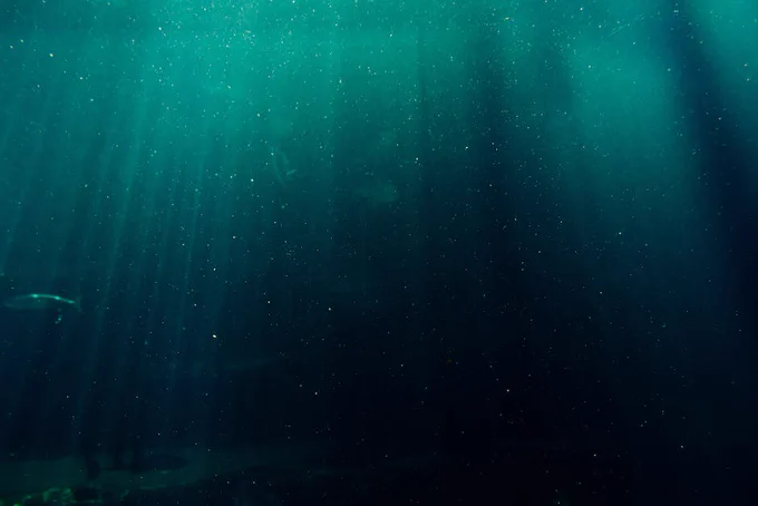 Underwater view of the deep sea