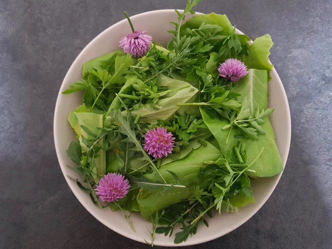 A white bowl filled with green salad leaves and pink chive flowers