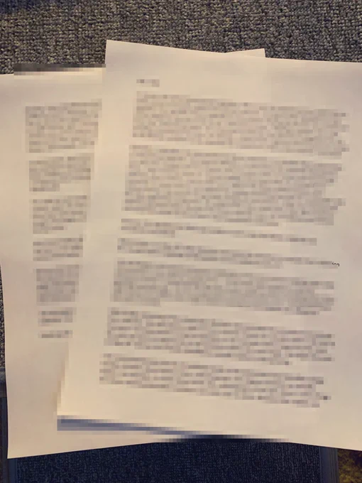 Two pages of blurred text.