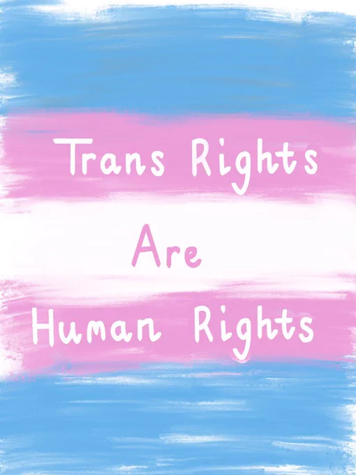 The Trans Pride flag is pictured, with text that reads: Trans Rights Are Human Rights