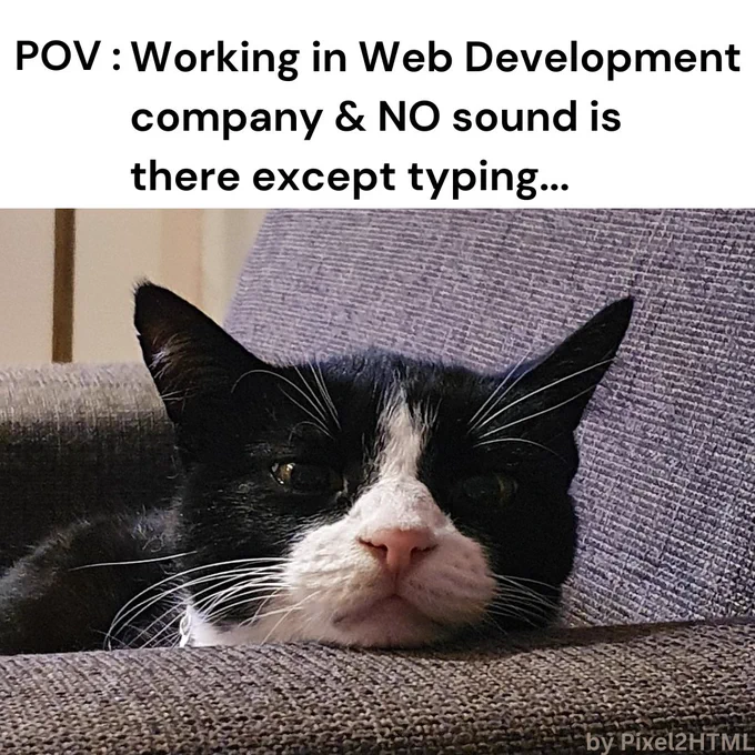 Working in Web Development company & No sound is there except typing. LOL 😂