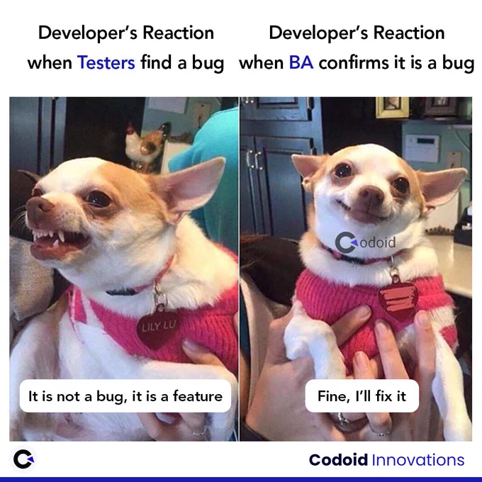 Software Testing Memes