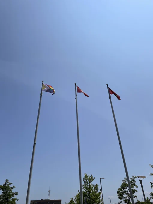 The Intersex-Inclusive Progressive Flag raised alongside others in front of the Education Centre.