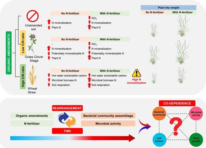 Graphical abstract Bossolani et al. (2023).