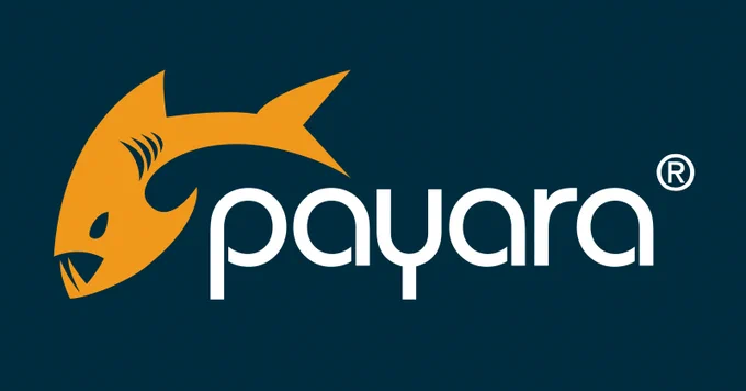 Payara logo