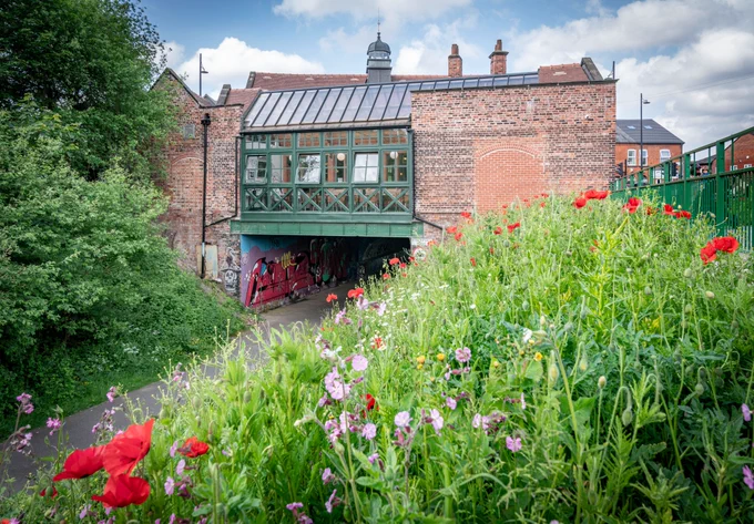Wildflowers and sunny outdoor space in Levenshulme / Paul Childs/Railway Heritage Trust