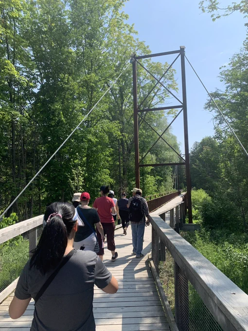 Eight adults walking behind each other across a wooden boardwalk that is overtop a marsh. The boardwalk is surrounded by tall trees.