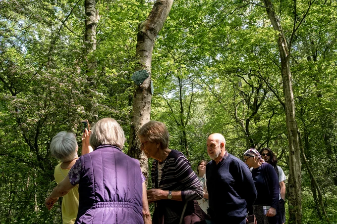 A group of senior adults look up at a clay sculpture hanging on a tree, taking photos on a phone