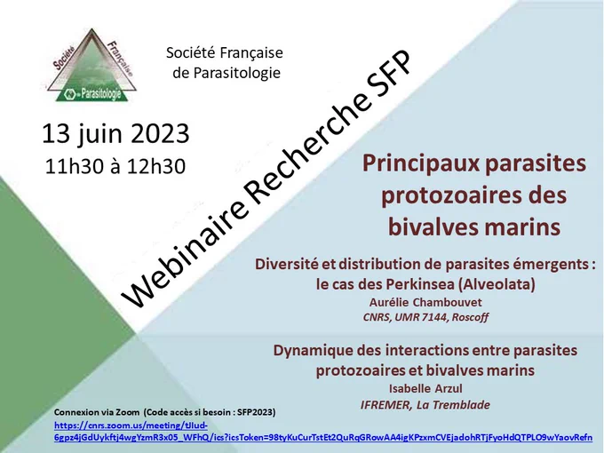 Webinaire Recherche SFP
Principaux parasites protozoaires des bivalves marins
13 juin 2023
11h30 à 12h30
Conférence par Zoom.
[Pour le code d'accès, nous contacter par email]