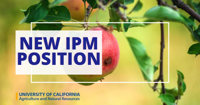 New IPM Position
