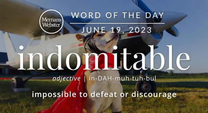 Merriam-Webster Word of the Day June 19, 2023 "indomitable" adjective | in-DAH-muh-tuh-bul 'impossible to defeat or discourage' Background image: A Dog dressed as a World Ward Two fighter pilot with a fighter plane behind him
