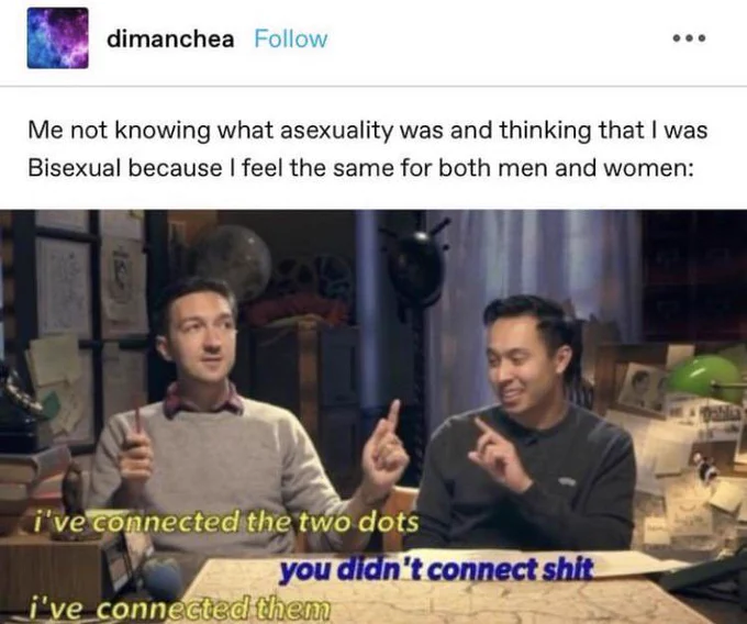 Screenshot of a Tumblr post that says: Me not knowing what asexuality was and thinking that I was Bisexual because I feel the same for both men and women. Below that is a gif from BuzzFeed Unsolved of Shane Madej and Ryan Bergara. 
Shane: I’ve connected the dots. 
Ryan: You didn’t connect shit. 
Shane: I’ve connected them.