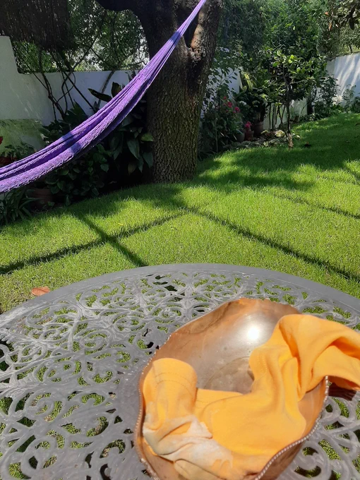 Foto de una mesa de hierro de jardín sobre cesped, junto a una hamaca morada, cerca de un muro blanco con vegetación variada, el tronco de un árbol grande cerca y otro pequeño más allá.
Sobre la mesa una bandeja de plata sin brillo y un trapo naranja encima con restos de pasta blanca limpiadora.