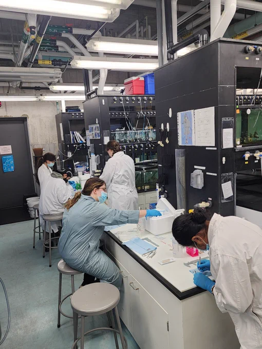People working in a lab, wearing PPE.