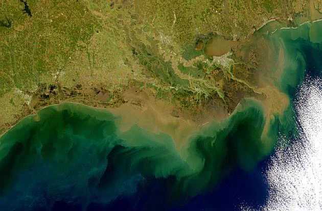 SeaWiFS ocean colour image taken 15 March 1999 of the Louisana coast. Image from NASA Ocean Color Image Gallery.