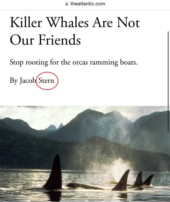 Screenshot of a headline from The Atlantic reading “Killer Whales Are Not Our Friends
Stop rooting for the orcas ramming boats.
By Jacob Stern” with “Stern” circled.