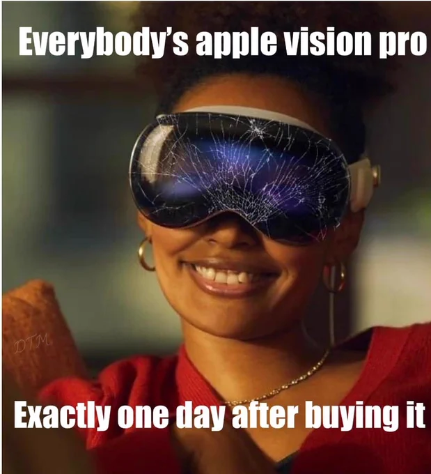 Vision pro meme