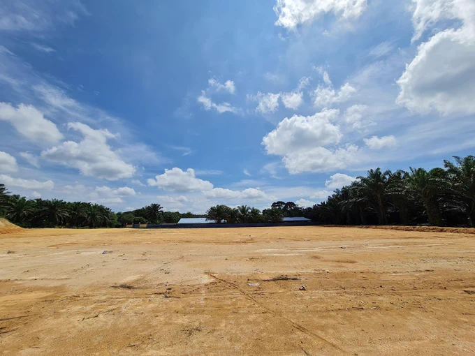 🔛 10 acres poultry farm project in progress! 🐔🐔😄😄

#IPMProfessionalServices #ArchitectureConsultant #EngineeringConsultant #BPSubmission #KMSubmission #EarthworkDesign #CivilDesign #StructuralDesign #ElectricalDesign #PoultryFarm