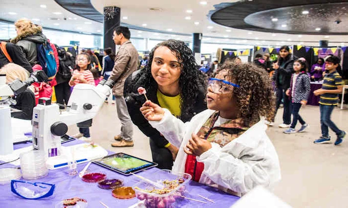Community Festival 2023 - free family fun