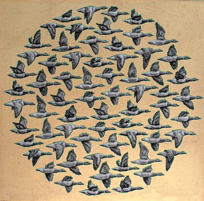 Image: Kelvin Mann: Brent geese - Starboard – about 50 geese depicted flying towards viewer’s; they're in a circular configuration of individuals (not a formation) against what seems to be a gold background • "Kelvin Mann’s eagerly anticipated solo exhibition Navigate explores the concept of movement and migration through the lens of various forms of navigation.  The etchings and screen prints depict migrating birds, schools of fish, animal migration paths, lighthouses, maritime maps and travelling mobile homes. Each of these elements represents a different way of navigating through the world, whether through instinct, technology, or human ingenuity.    Mann uses gold and platinum leaf as a means to embellish the prints and also to highlight the value and significance we should place on the natural world and its inhabitants.    Through simplified geometric maps, Mann represents countries and bodies of water identifiable only by their unique configuration of the lighthouses that guide…"