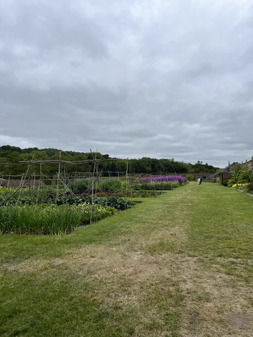 The walled garden at Harewood House, showing the beds on the left looking bountiful and lovely and very well kept.