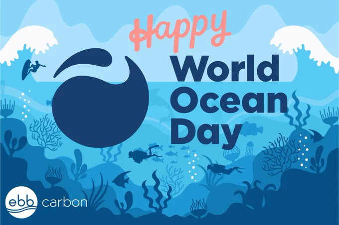 Happy World Ocean Day from Ebb Carbon