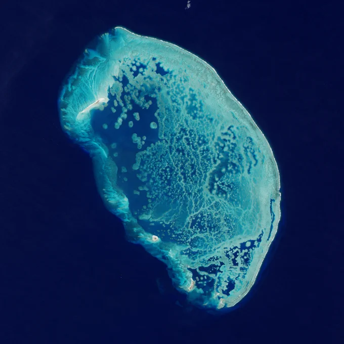 Landsat 8 image of Arrecife Alacranes, Spanish for "Scorpion Reef," in the southern Gulf of Mexico taken in 2014. The reef is an oblong oval ringed with squiggles and dots of reef structures seen in light blue hues, surrounded by dark blue water.