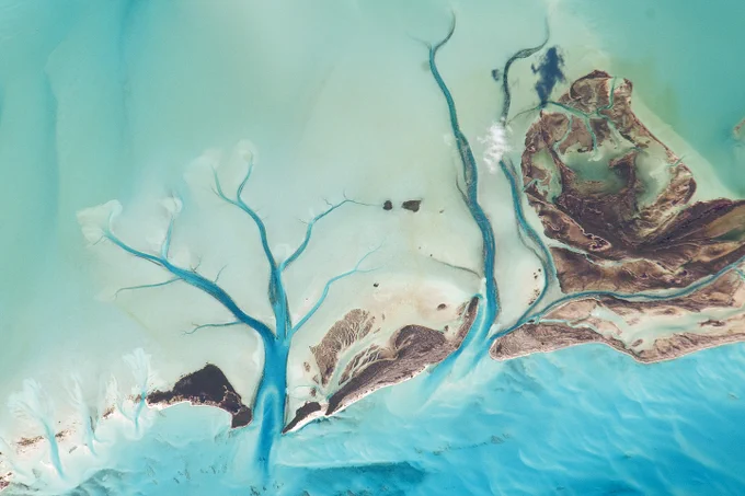 Astronaut image of pale blue tidal flats with branching, darker blue tidal channels of water flowing into the Great Bahama Bank from the bright blue Caribbean Sea, which is along the bottom of the image.