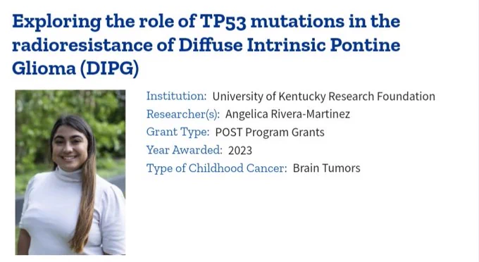 https://www.alexslemonade.org/project/exploring-role-tp53-mutations-radioresistance-diffuse-intrinsic-pontine-glioma-dipg
