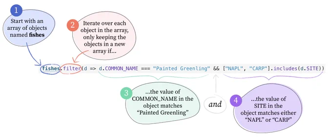 A schematic with text bubbles describing different pieces of code. (1) fishes: an array of objects; (2) .filter: iterate over each object in the array, only keeping objects in a new array if they satisfy certain conditions; (3) d => d.COMMON_NAME === "Painted Greenling": only keep objects where the common name is Painted Greenling...; (4) && ["NAPL", "CARP"].includes(dSITE): AND (second condition) the SITE value is either "NAPL" or "CARP"