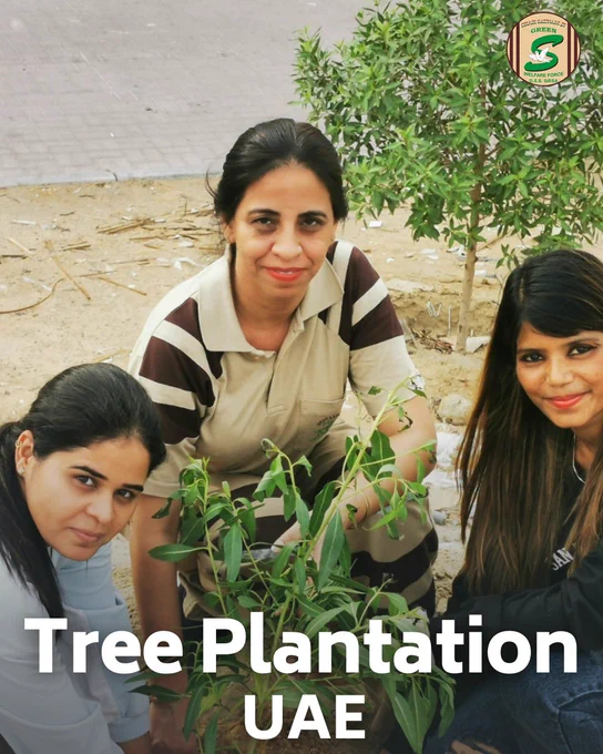 Bravo to the Shah Satnam Ji Green 'S' Welfare Force Wing volunteers in the UAE for celebrating World Environment Day in the most meaningful way - by planting trees! 🌍🌳🇦🇪 Their efforts are a tribute to our shared responsibility towards Mother Earth. Let's join them in this cause!