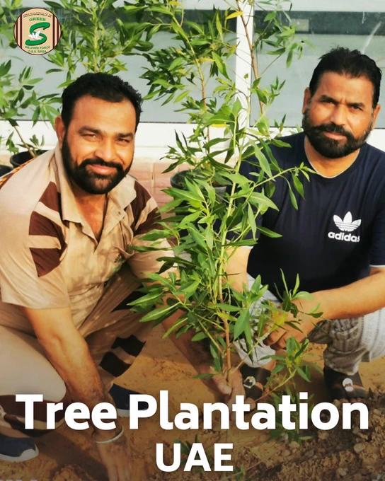 Bravo to the Shah Satnam Ji Green 'S' Welfare Force Wing volunteers in the UAE for celebrating World Environment Day in the most meaningful way - by planting trees! 🌍🌳🇦🇪 Their efforts are a tribute to our shared responsibility towards Mother Earth. Let's join them in this cause!
