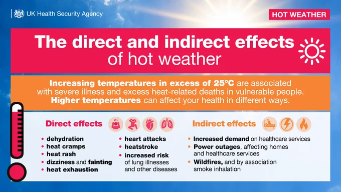 Graphic outlines the direct and indirect effects of hot weather