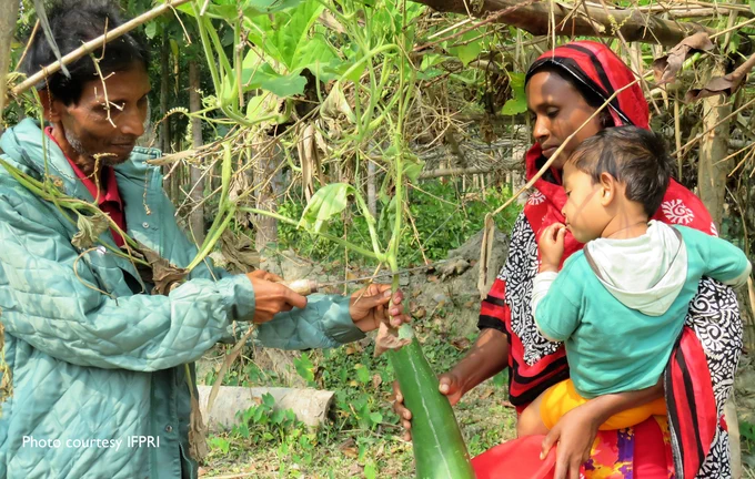 A woman holds a baby on her hip and a green plant in her other hand while a man is harvesting the plant.