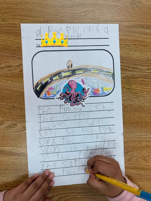 An illustration of an octopus in a tank with a story about the octopus being caught.