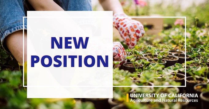 New position