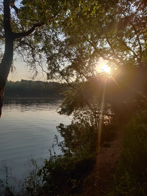 Ein Seeufer mit untergehender Abendsonne. Von links ein Baum, in der Mitte die Wasseroberfläche.