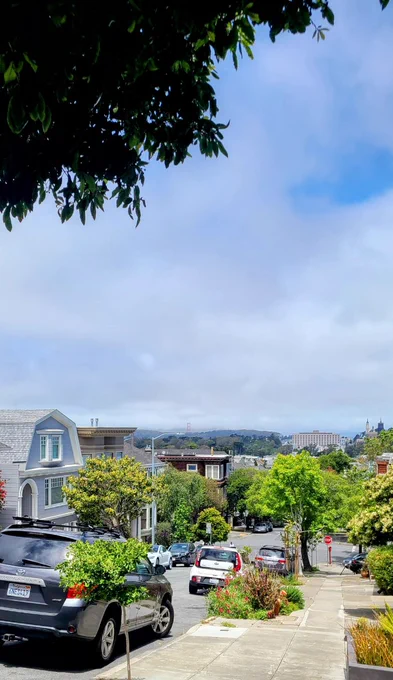A view of Golden Gate Bridge from the corner of Shrader and Carmel 