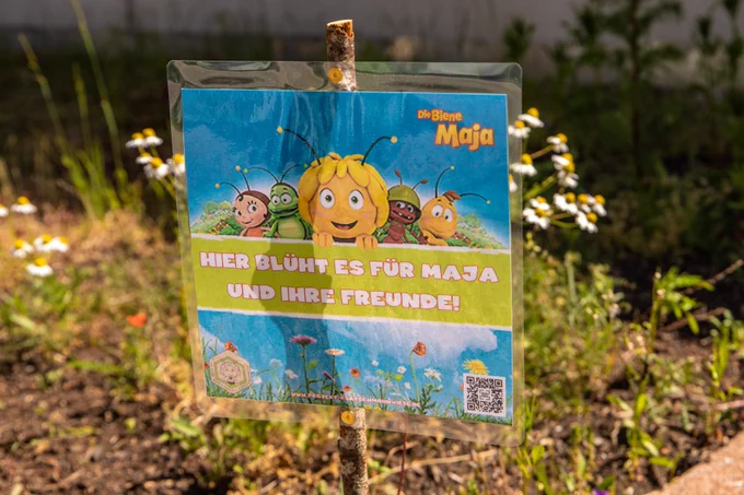 A buzzing summer with Maya the Bee - German Day of the Garden 🌼
As a partner of @Studio100 and their "Projekt Klatschmohnwiese" we are proud to join forces for insects and their habitats again this year in the name of the most famous bee in German television 🐝 Following the theme #letitgrow, we would like to encourage everyone to help these important animals in small, easy ways