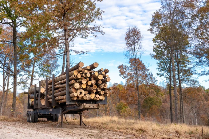 A stack of logs sitting on a trailer chassis on the side of a road.