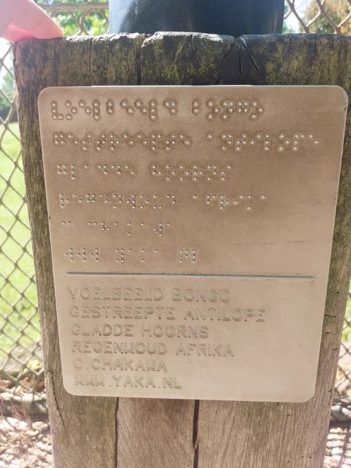 Braille bijschrift van het beeld