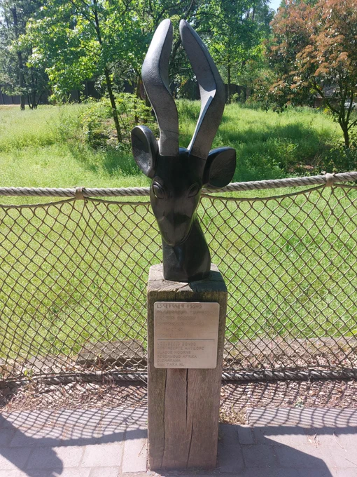 Voelbeeld van een Antilope