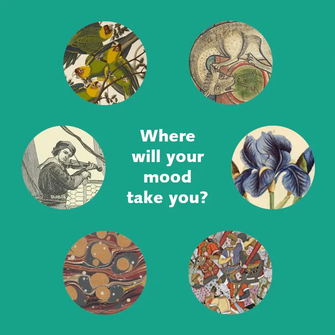A graphic reading 'Where will your mood take you?' in the centre of a teal background with 6 round images surrounding the text. 

The images include a botanical drawing of a flower, an illustration of a group of parrots, a battle scene from a Persian manuscript, a drawing of a beast from a medieval manuscript, a pattern from a decorative paper, and a drawing of a man playing a fiddle