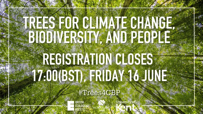 Trees for climate change, biodiversity, and people. Registration closes at 17:00 (BST), Friday 16 June 2023. A joint event run by the British Ecological Society, Woodland Trust, and the University of Kent.