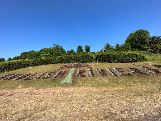 english riviera sign in plants