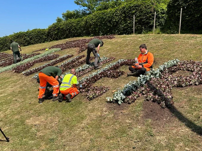 men planting