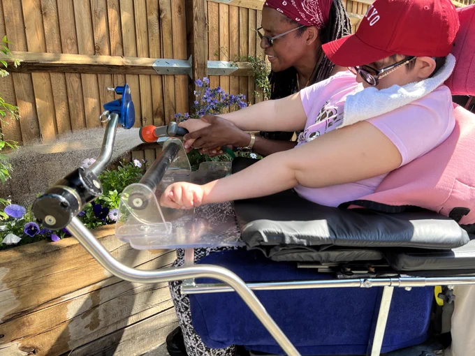 Watering the plants
